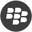 blackberry-icon
